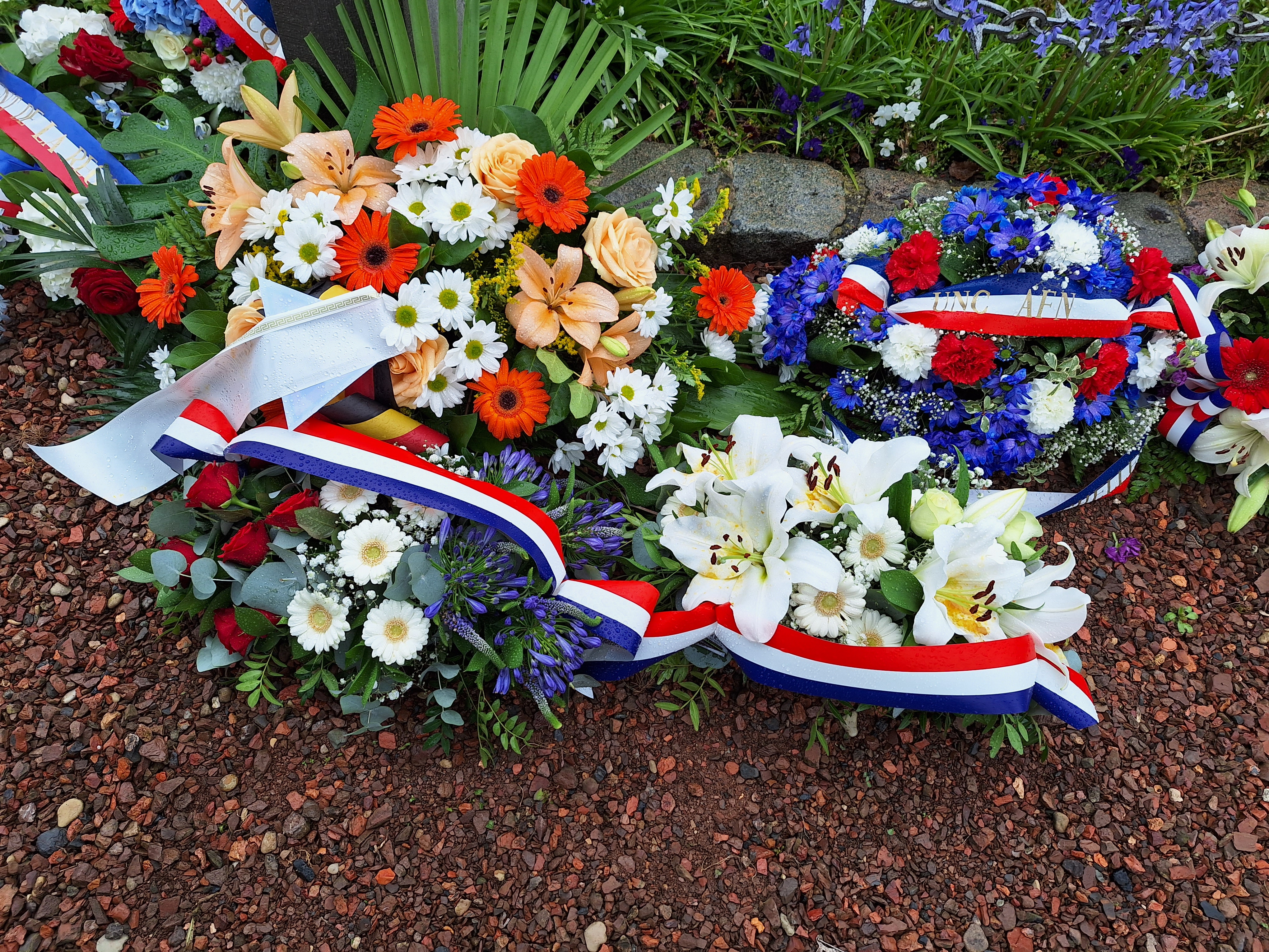 Bourghelles 23042023 (3)